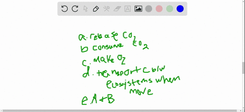 how-do-plants-contribute-to-the-carbon-cycle-a-when-plants-respire-they-release-mathrmco_2-into-the-