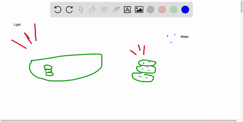 in-photolysis-some-of-the-energy-captured-by-chlorophyll-is-used-to-split-mathrma-mathrmco_2mathrmb-