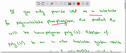 suppose-you-were-to-construct-a-synthetic-rna-from-a-repeating-dinucleotide-eg-agagagag-and-then-use