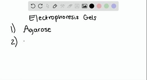 what-types-of-compounds-make-up-the-gels-used-in-electrophoresis-2