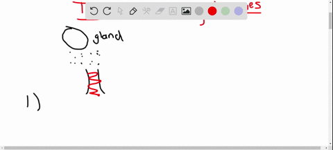 explain-how-the-same-hormone-might-have-different-effects-on-two-different-target-cells-and-no-effec