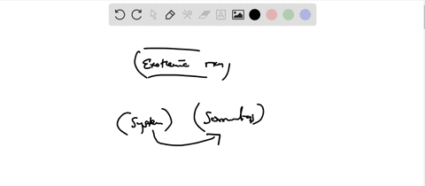 draw-an-energy-level-diagram-for-an-exothermic-reaction-of-the-following-type-reactants-rightarrow-p