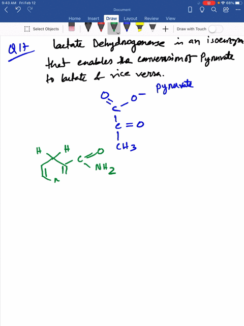 lactate-dehydrogenase-is-one-of-the-many-enzymes-that-require-nadh-as-coenzyme-it-catalyzes-the-conv