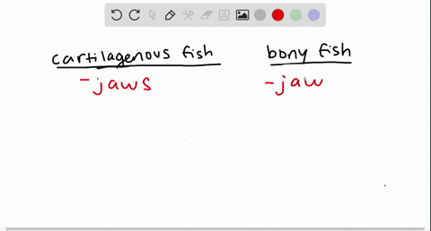both-cartilaginous-and-bony-fishes-have-____-a-jaws-b-a-bony-skeleton-c-lungs-d-a-swim-bladder-e-a-f