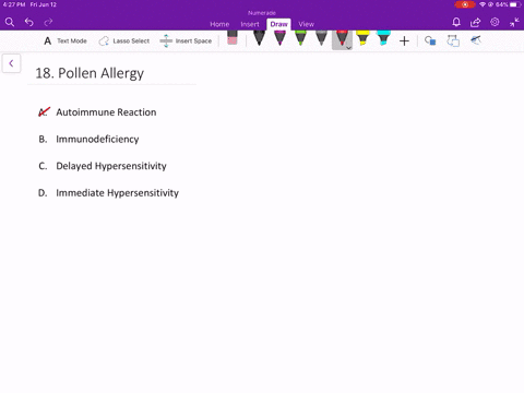 allergy-to-pollen-is-classified-as-a-an-autoimmune-reaction-b-immunodeficiency-c-delayed-hypersensit