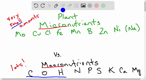 micronutrients-are-needed-in-very-small-amounts-because-a-most-of-them-are-mobile-in-the-plant-b-m-2