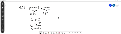 why-does-dna-have-equal-amounts-of-a-and-t-and-equal-amounts-of-g-and-c