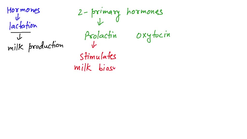 solved-the-hormone-stimulates-milk-production-and-the-hormone-numerade