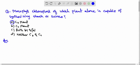 SOLVED:In which plant Calvin experimented the radioactive isotopy to ...