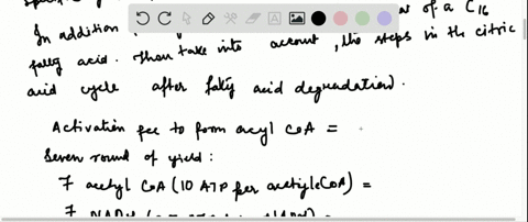 counting-atps-1-what-is-the-atp-yield-for-the-complete-oxidation-of-mathrmc_17-heptadecanoic-fatty-a