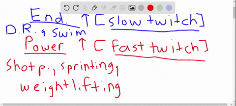 why-do-endurance-sports-require-a-high-proportion-of-slow-twitch-muscle-fibers-whereas-power-sports-