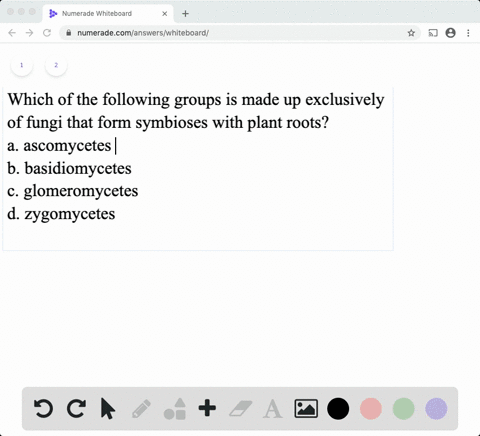 which-of-the-following-groups-is-made-up-exclusively-of-fungi-that-form-symbioses-with-plant-roots-2