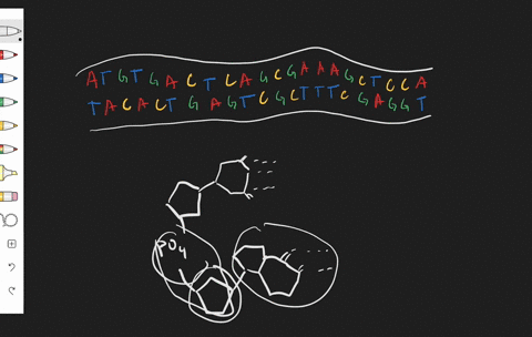 one-species-dna-differs-from-others-in-its-______-a-nucleotides-b-dna-sequence-c-sugar-phosphate-bac