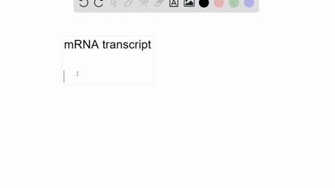 what-bases-in-the-mrna-transcript-would-represent-the-following-dna-template-sequence-5prime-tgcagac