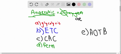 which-one-of-these-pathways-would-be-active-in-an-anaerobic-condition-a-glycolysis-b-electron-transp