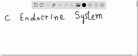 match-the-function-of-the-urinary-system-to-the-human-organ-system-in-the-key-a-muscular-system-b--7