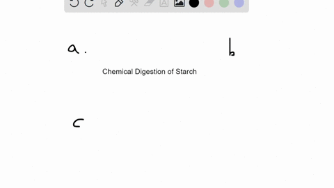 where-does-the-chemical-digestion-of-starch-begin-a-mouth-b-esophagus-c-stomach-d-small-intestine