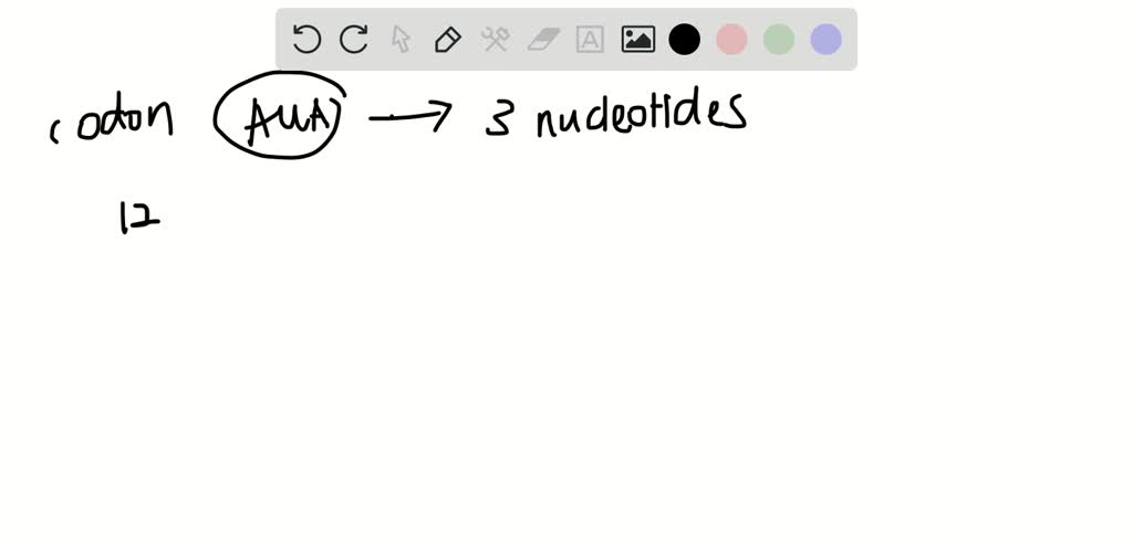 How Many Nucleotides Are In 12 Mrna Codons