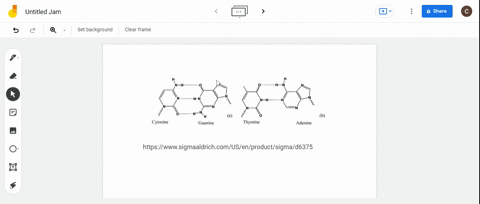 how-many-hydrogen-bonds-link-a-guanine-cytosine-base-pair-an-adenine-uracil-base-pair-would-you-ex-2