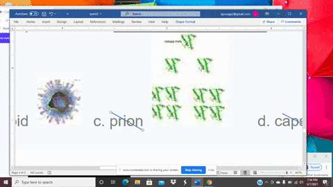 another-name-for-a-complete-virus-is-__________________-a-virion-b-viroid-c-prion-d-capsid