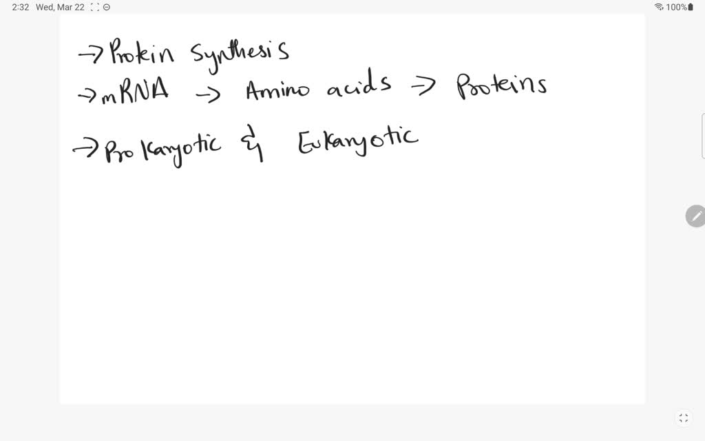 solved-what-are-organelles-what-are-the-functions-of-the-endoplasmic