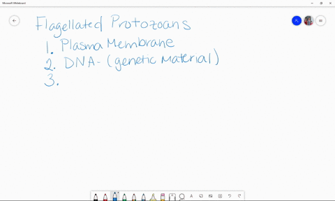 some-of-the-flagellated-protozoans-lack-____-a-a-nucleus-b-mitochondria-c-dna-d-a-plasma-membrane