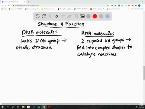 a-major-theme-in-this-chapter-is-that-the-structure-of-molecules-correlates-with-their-function-expl