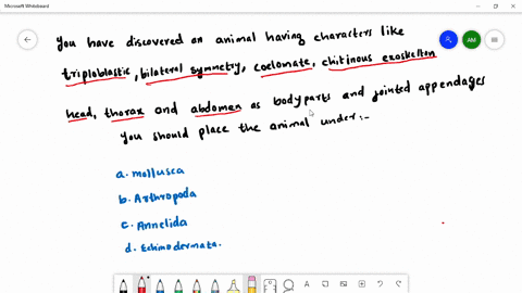 you-have-discovered-an-animal-having-characters-like-triploblastic-bilateral-symmetry-coelomate-chit