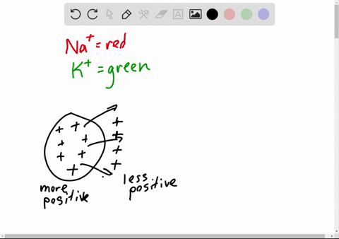 true-or-false-sodium-potassium-atpase-pumps-move-three-sodium-molecules-out-of-a-cell-in-exchange-fo