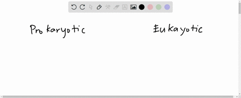 eukaryotic-cells-differ-from-prokaryotic-cells-in-that-_____-a-only-eukaryotic-cells-contain-dna-b-o