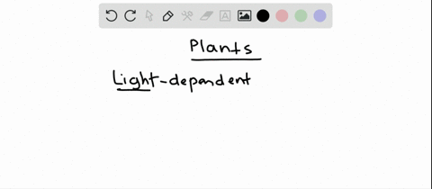 light-dependent-reactions-in-plants-proceed-in-the-______-a-thylakoid-membrane-b-plasma-membrane-c-s