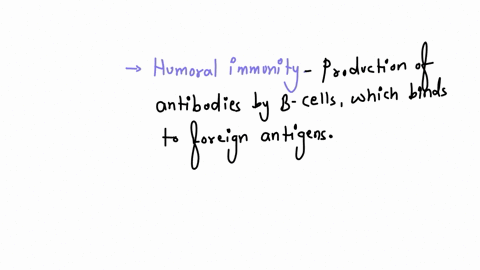 describe-humoral-immunity-and-cell-mediated-immunity-include-in-your-answer-the-types-of-immune-cell