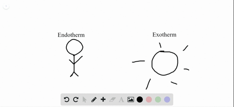 which-of-the-following-is-an-endotherm-a-grasshopper-b-hydra-c-earthworm-d-blue-jay-e-frog