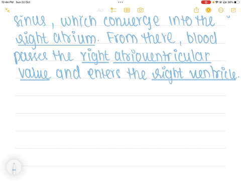 correctly-match-the-term-with-the-correct-order-of-blood-flow-through-the-heart-05-point-venous-bloo