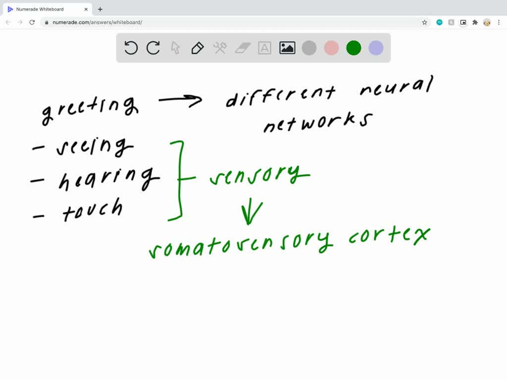 solved-how-do-different-neural-networks-communicate-with-one-another-to