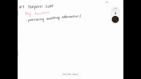 the-___________-lobe-is-to-hearing-as-the-occipital-lobe-is-to-vision-a-frontal-b-temporal-c-parieta