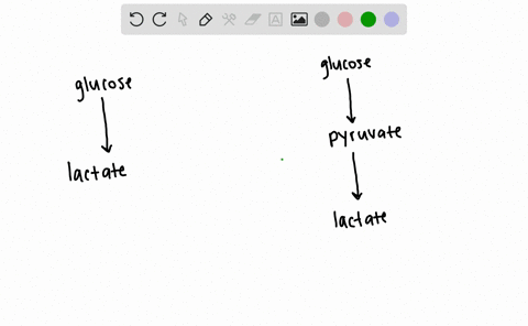 what-is-the-metabolic-advantage-in-the-conversion-of-glucose-to-lactate-in-which-there-is-no-net-o-2