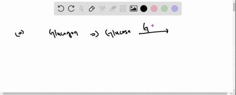 what-molecules-are-used-initially-during-starvation-or-fasting-to-produce-glucose