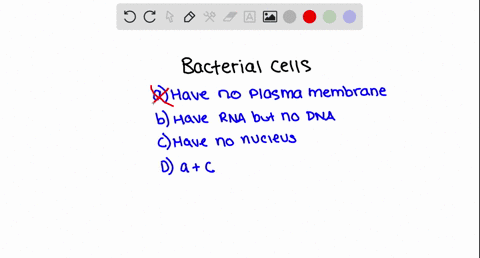 unlike-eukaryotic-cells-bacterial-cells-_______-a-have-no-plasma-membrane-b-have-rna-but-not-dna-c-h