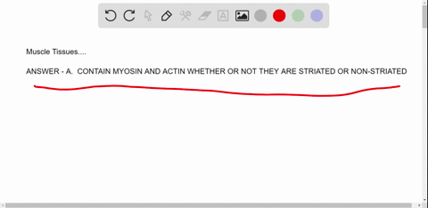 muscle-tissues-_________-a-contain-actin-and-myosin-whether-or-not-they-are-striated-b-that-facili-2