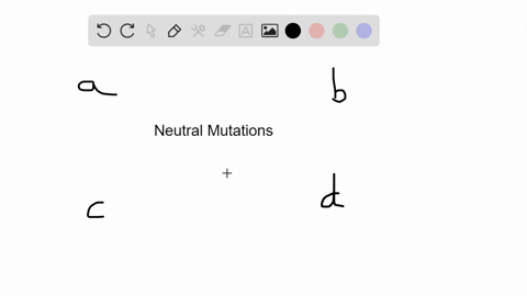some-mutations-are-neutral-because-they-do-not-affect-_____-a-amino-acid-sequence-b-nucleotide-seque