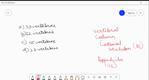 vertebral-column-of-human-body-is-made-up-of-a-33-vertebrae-b-52-vertebrae-c-45-vertebrae-d-23-verte