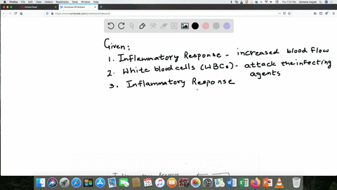 the-inflammatory-response-involves-increasing-blood-flow-to-areas-of-the-body-that-contain-immune-sy