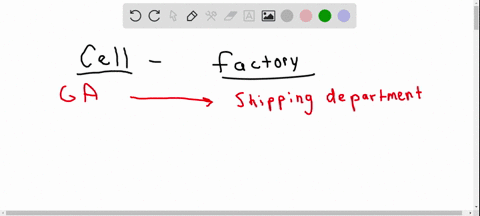 one-way-to-understand-cell-function-is-to-compare-the-parts-of-a-cell-to-the-parts-of-a-factory-fo-3