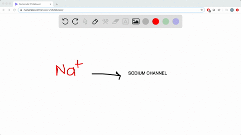 why-do-only-a-small-number-of-sodium-ions-need-to-flow-through-the-mathrmna-channel-to-change-the-me