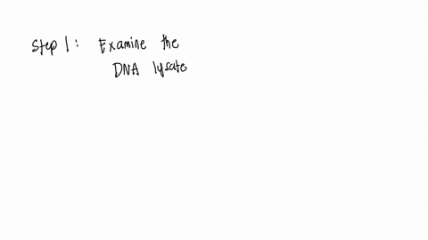 if-you-had-used-a-dna-lysate-containing-viable-cells-would-it-have-been-possible-to-determine-whethe