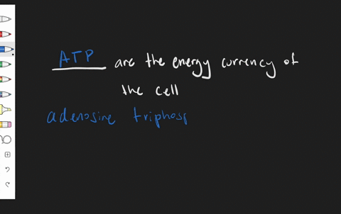 each-of-the-following-sentences-is-false-make-the-sentence-true-by-replacing-the-italicized-word-wit