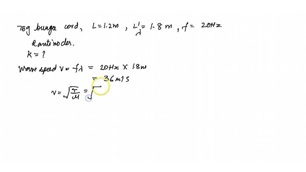 SOLVEDA 75 g bungee cord has an equilibrium length of 1.2 m. The cord