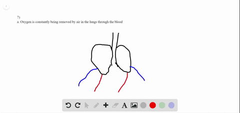 why-is-the-partial-pressure-of-oxygen-lower-in-the-lung-than-in-the-external-air-a-oxygen-is-constan
