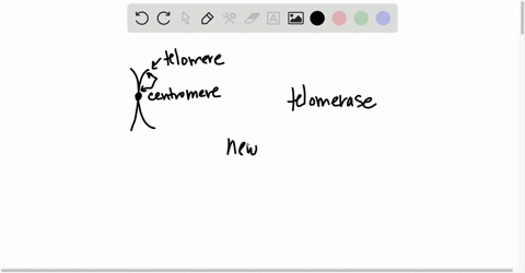 assume-that-the-sequence-of-a-double-stranded-dna-shown-in-the-following-diagram-is-present-at-one-e